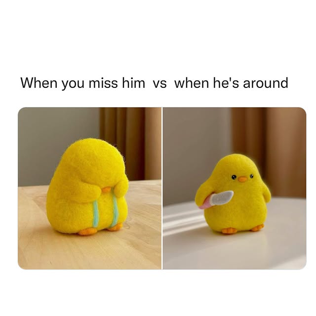  ........shipkink   'recent posts' 