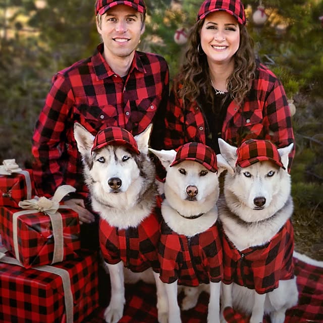  .....eteers   'recent posts' 