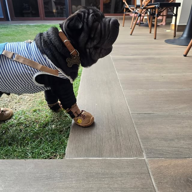  ......i.world   'recent posts' 