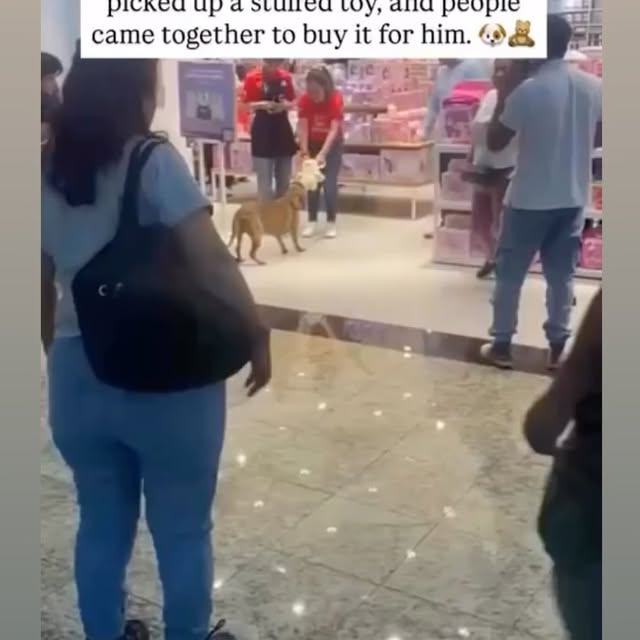  ....s.acc   'recent posts' 