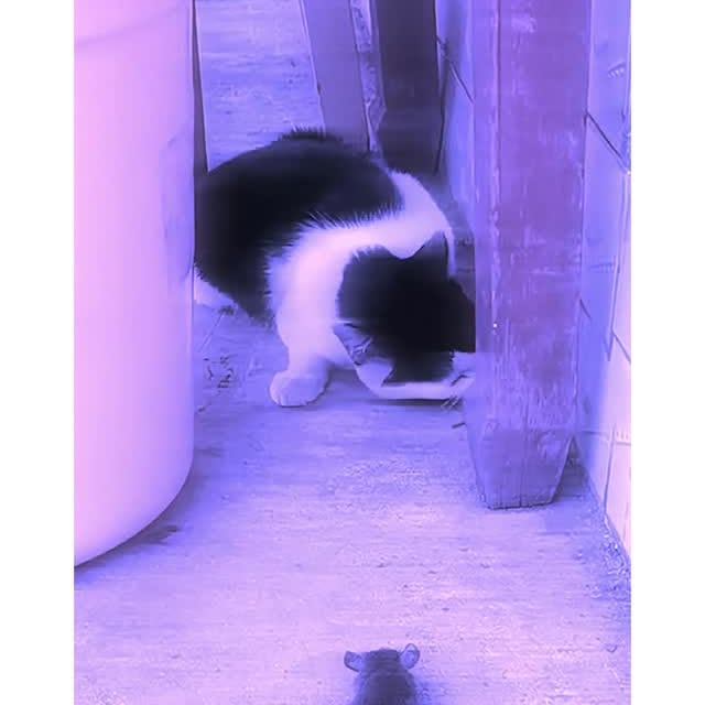  ........eos_fr_us   'recent posts' 