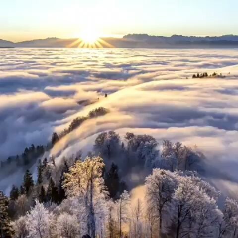  ........traveller   'recent posts' 