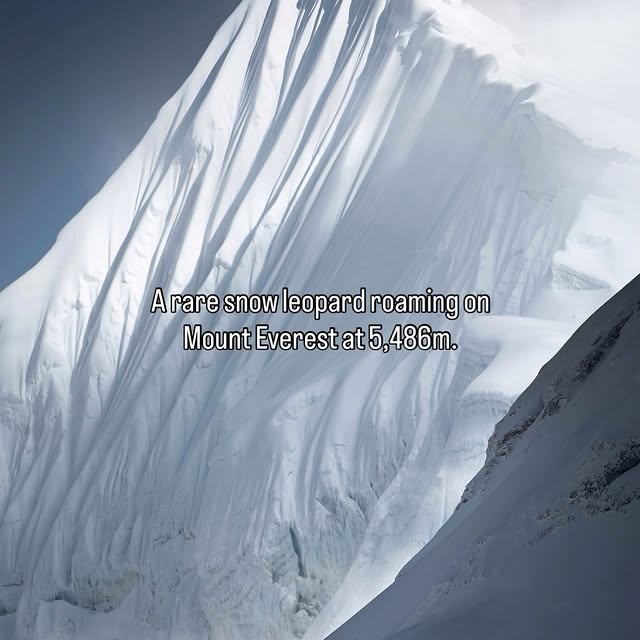  ......fervor   'recent posts' 