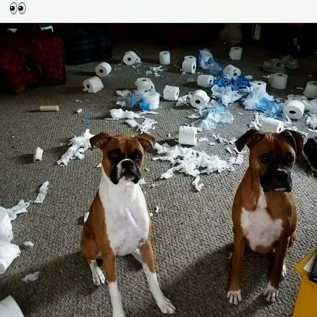  ......orable   'recent posts' 