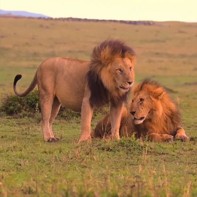  .........._sightings   'recent posts' 