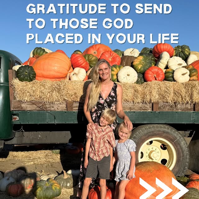  ......rasmith   'recent posts' 