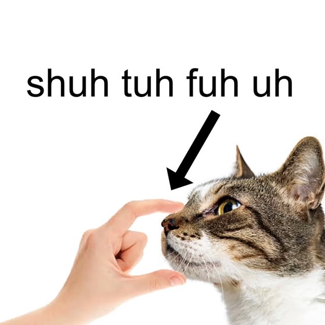  ......nd.kits   'recent posts' 