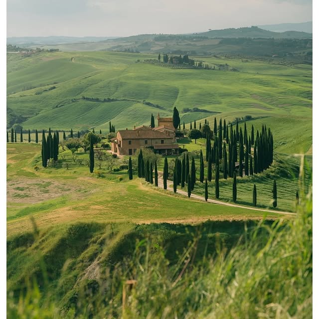  .......utevibes   'recent posts' 