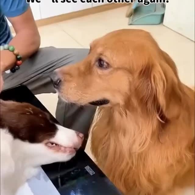  ....ash_   'recent posts' 