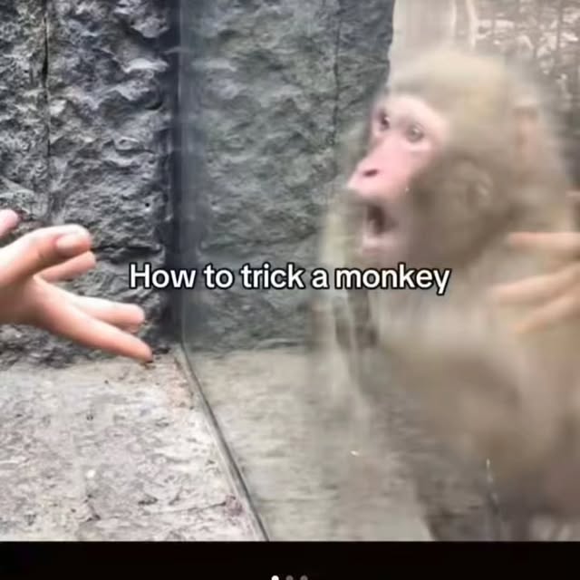  ......urluck   'recent posts' 