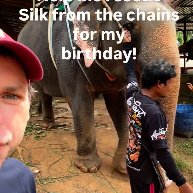  ........sofworld   'recent posts' 