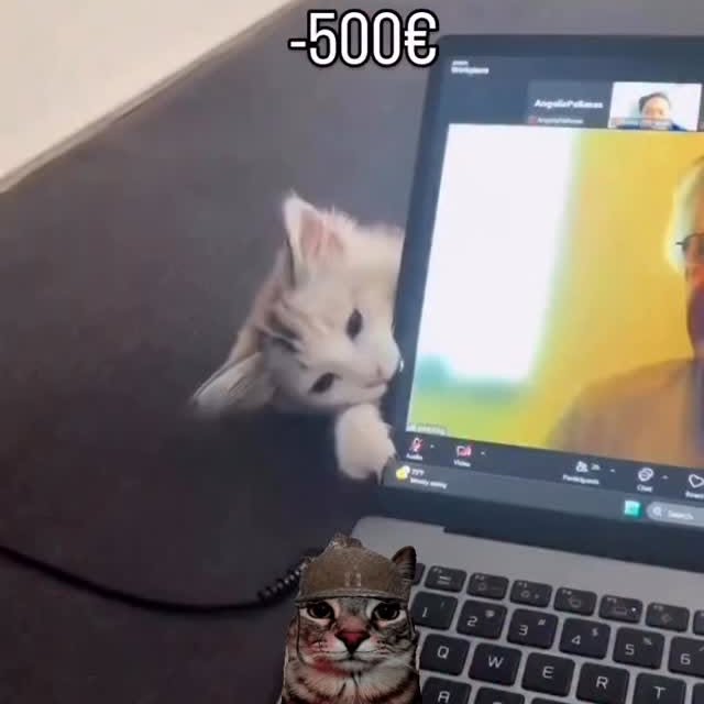  ....eowsy   'recent posts' 