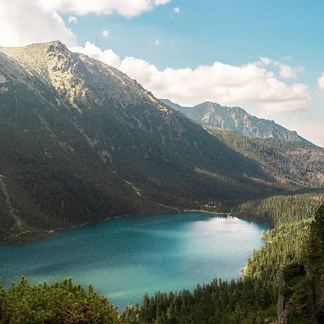  .....lecki   'recent posts' 