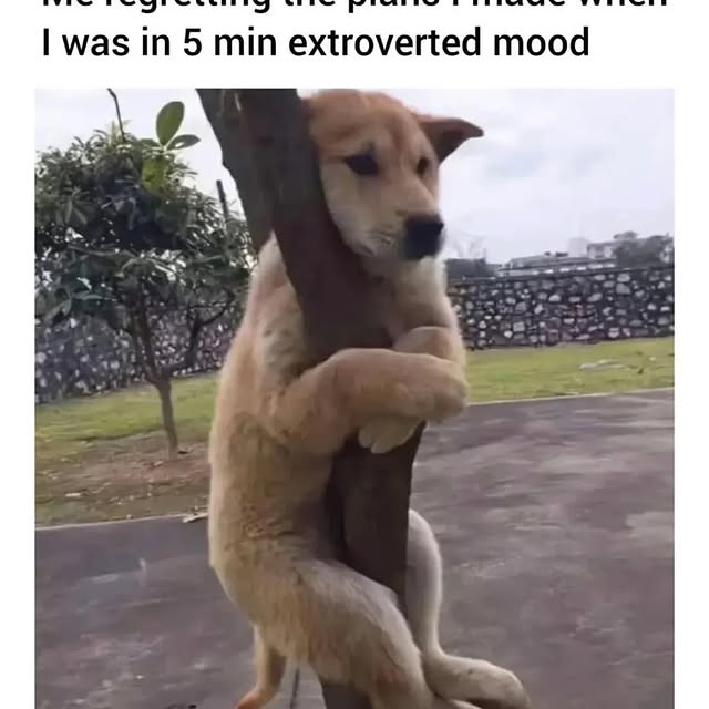  .....pawsz   'recent posts' 