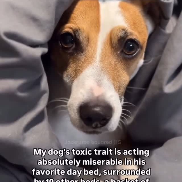  ..ps   'recent posts' 