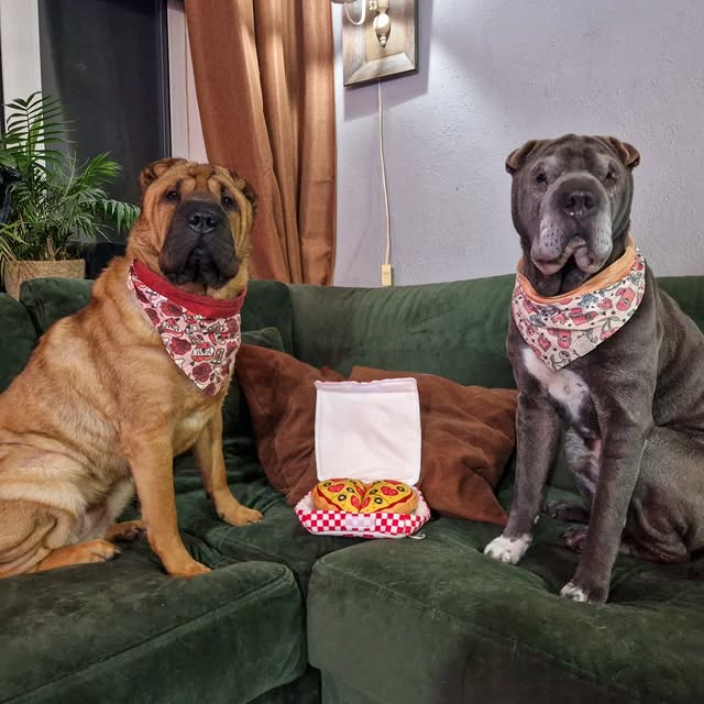  ......i.world   'recent posts' 