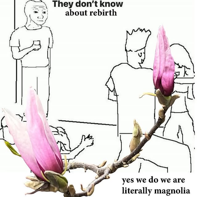  .....0shit   'recent posts' 