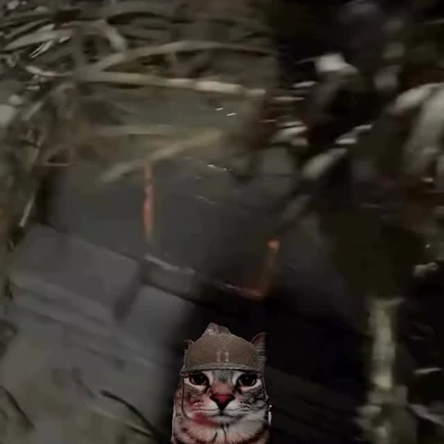  ....eowsy   'recent posts' 