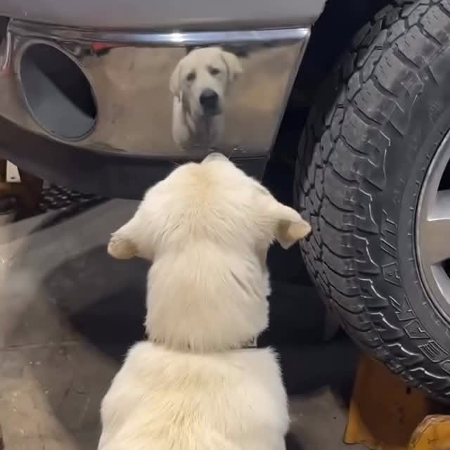  ......estige   'recent posts' 