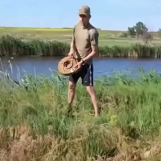  ..........linevideos   'recent posts' 