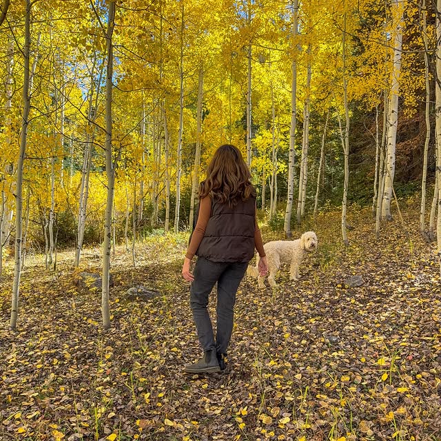  ....aikie   'recent posts' 