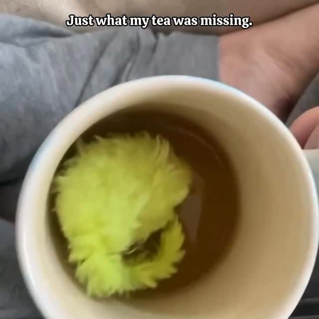  ...........irtonguesout   'recent posts' 