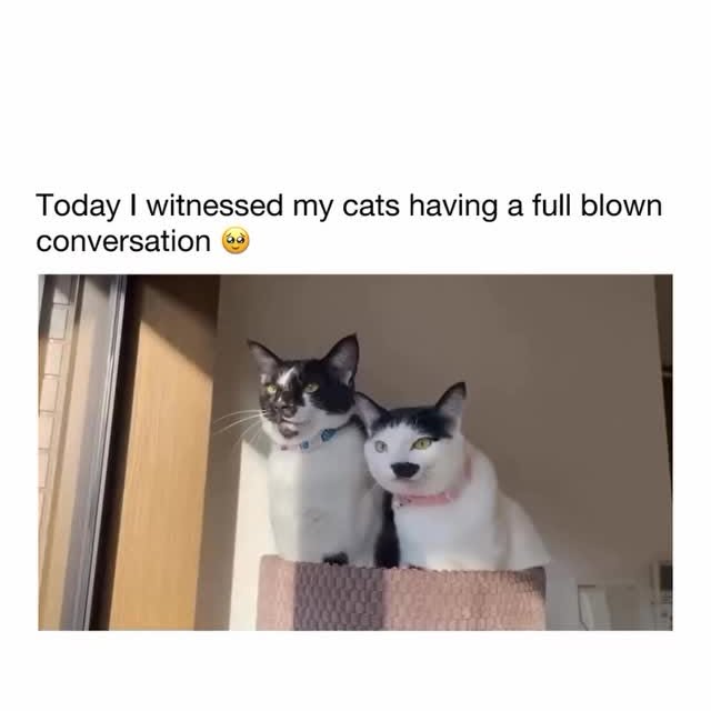  ......ctcars   'recent posts' 