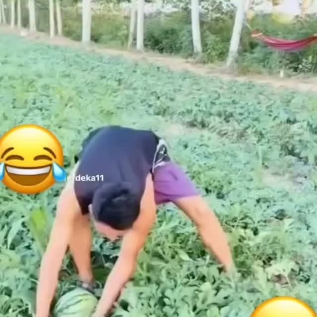  .....memes   'recent posts' 