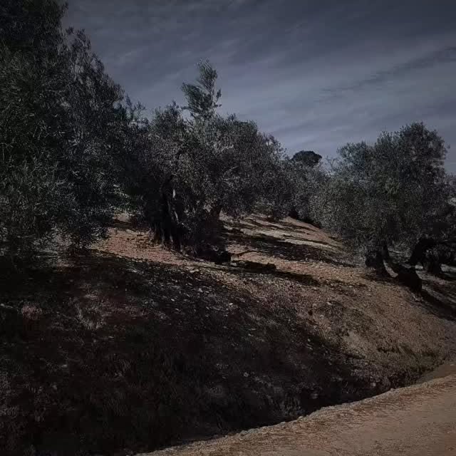  ........viajeros   'recent posts' 