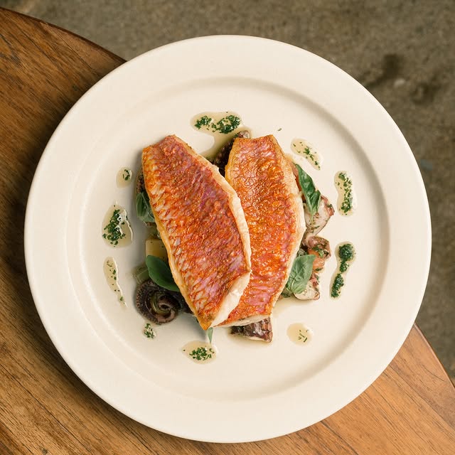  .......carrillo   'recent posts' 