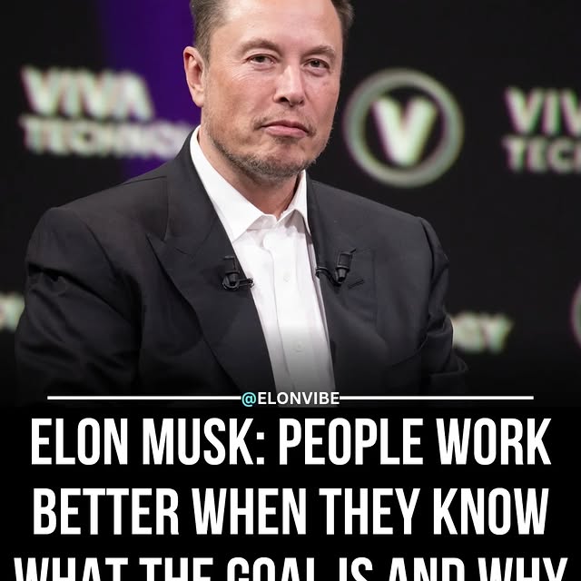  ....vibe   'recent posts' 