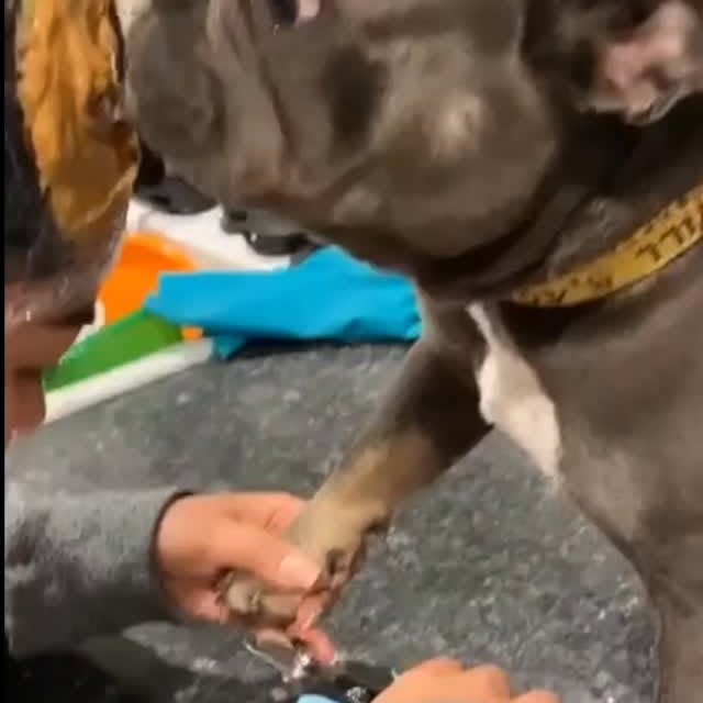  ..........ldogs_only   'recent posts' 