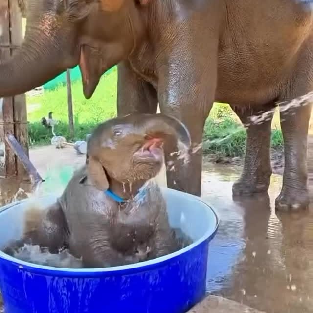  ........sofworld   'recent posts' 