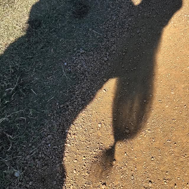  ......ardsmen   'recent posts' 