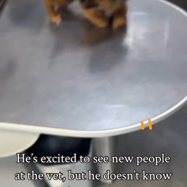  .......malshow   'recent posts' 