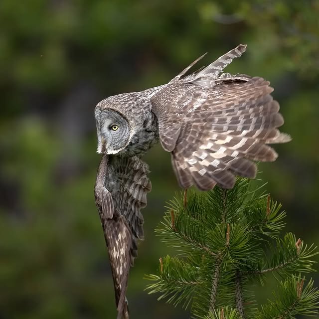  ........vacations   'recent posts' 