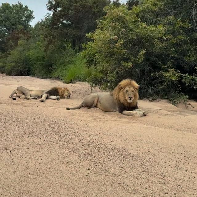  .........._sightings   'recent posts' 