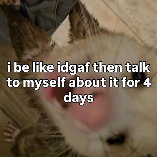  ......mthings   'recent posts' 