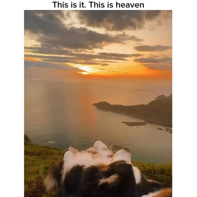  ....ed.d   'recent posts' 