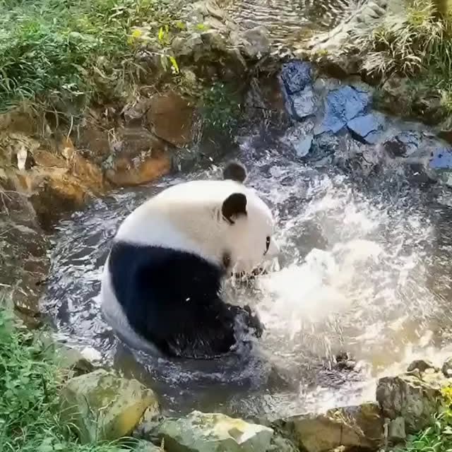  ....retie   'recent posts' 