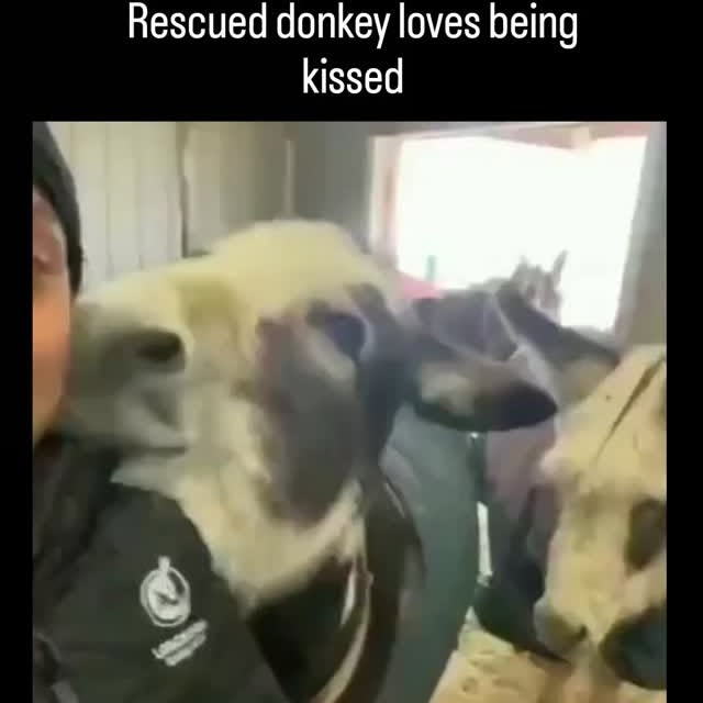  ...slab   'recent posts' 