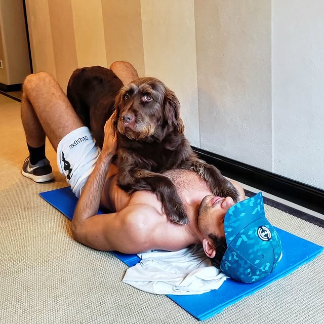  .........bradoodle   'recent posts' 