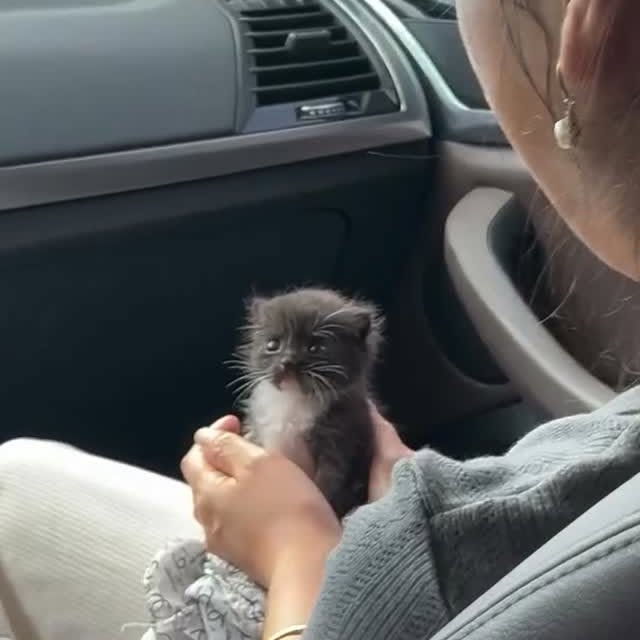  ......f_day_   'recent posts' 