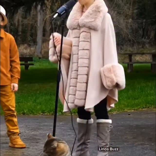  .........z.official   'recent posts' 