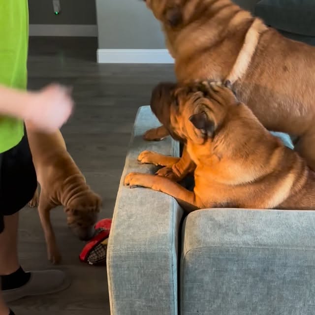  ......i.world   'recent posts' 