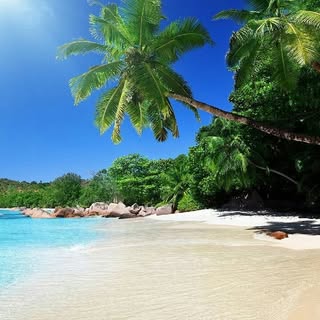 Hire ........ionfervor influencer with 1.6m