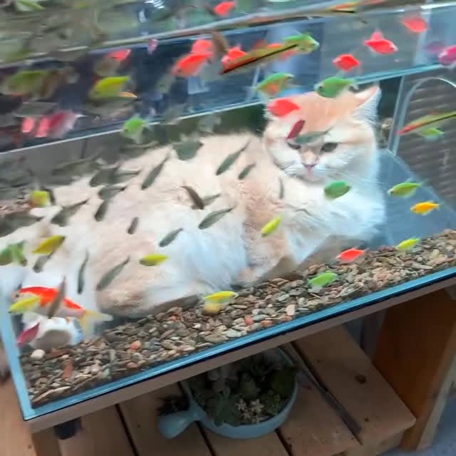  ......_lover   'recent posts' 