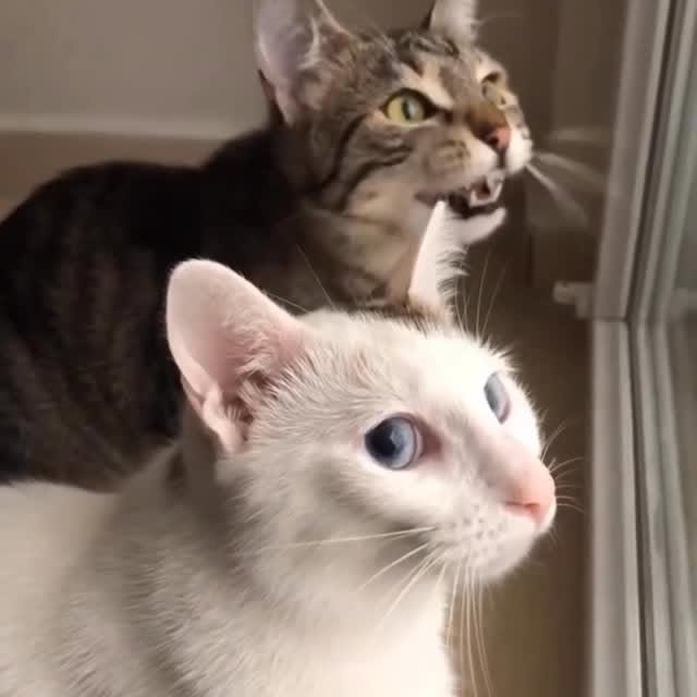  ......kekkek   'recent posts' 