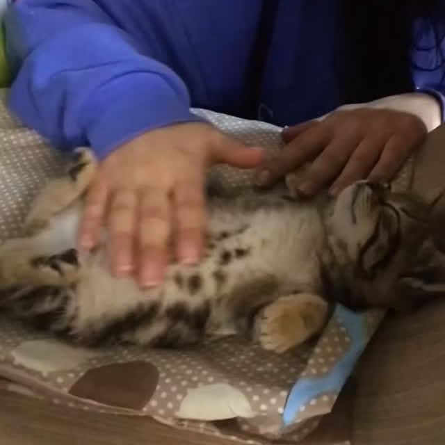  ......nd.kits   'recent posts' 