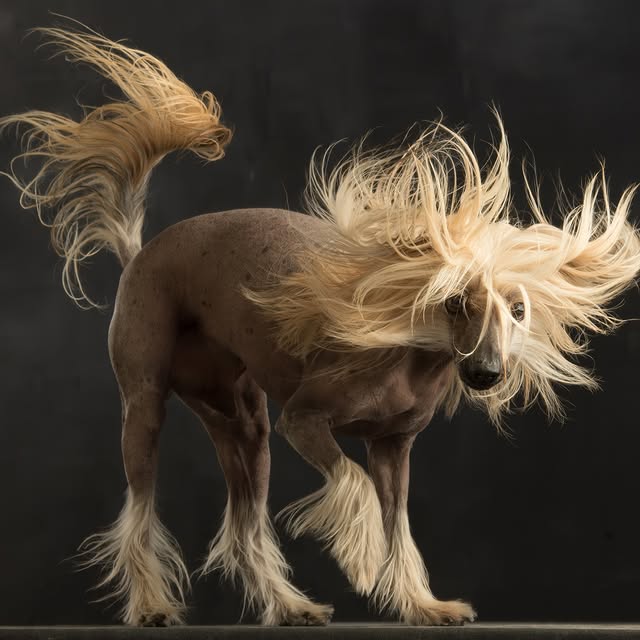  ..........hotography   'recent posts' 